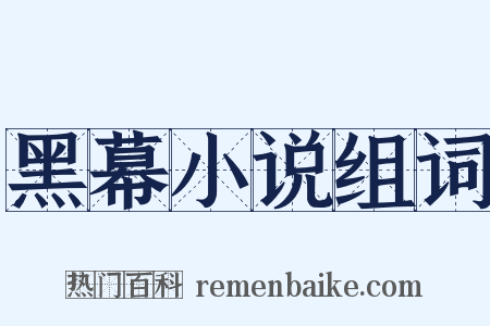 黑幕小说组词是什么意思的图片